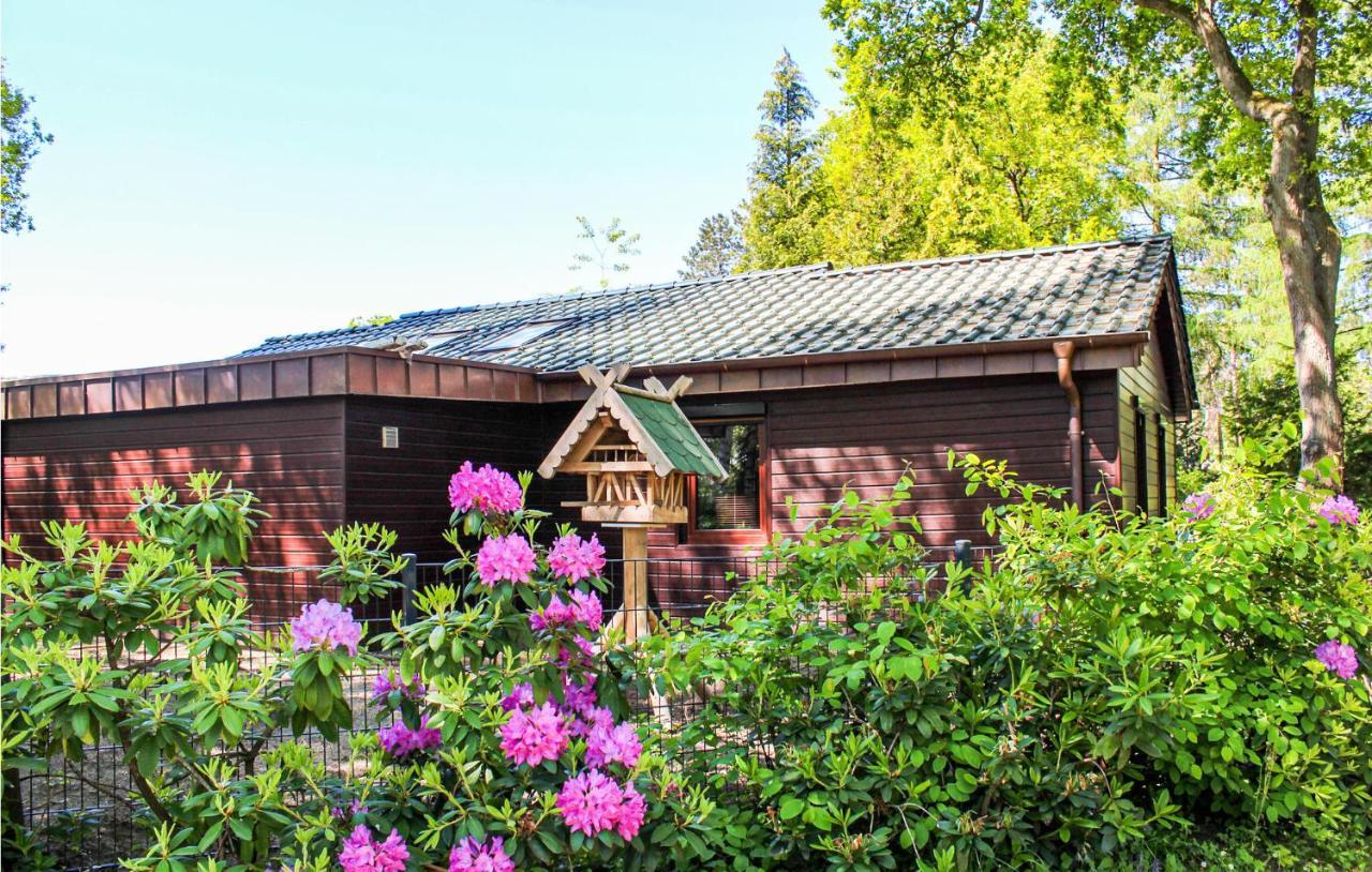 Pet Friendly Home In Haren With Sauna Dankern Ngoại thất bức ảnh